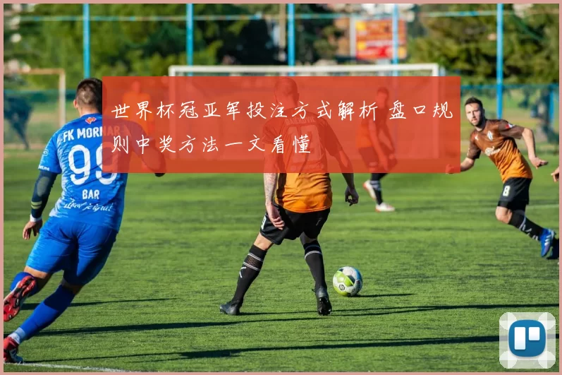 世界杯冠亚军投注方式解析 盘口规则中奖方法一文看懂