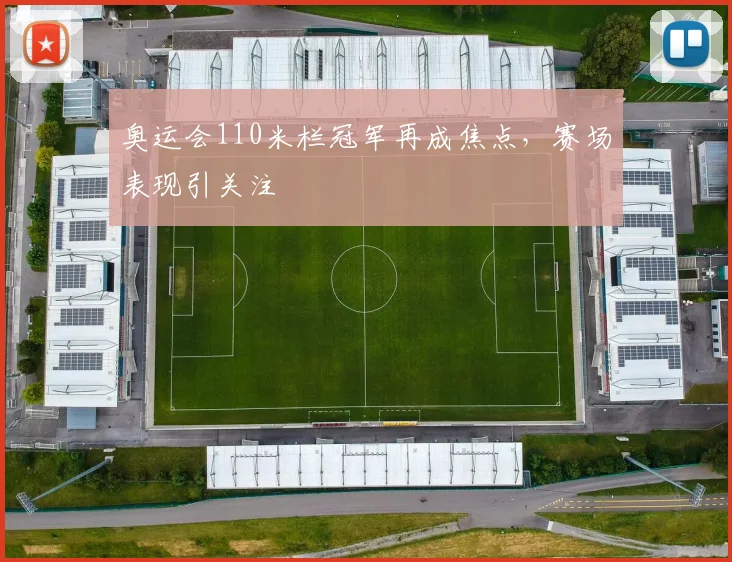 奥运会110米栏冠军再成焦点,赛场表现引关注
