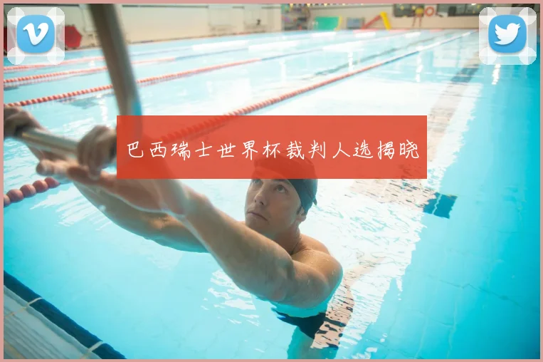 巴西瑞士世界杯裁判人选揭晓
